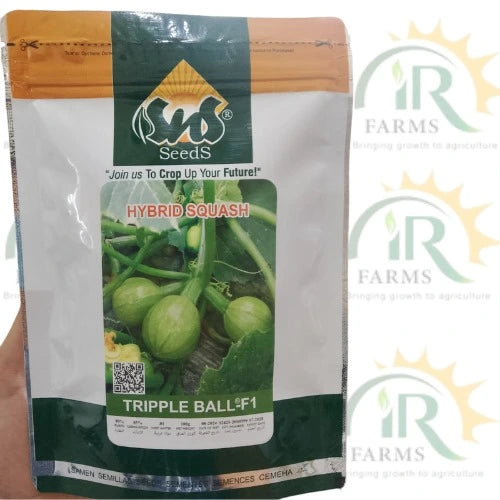 hybrid squash triple ball f1 seeds by sns seeds