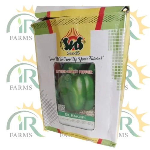 hybrid sweet pepper dil raaj f1 seeds sns seeds 10 g price
