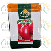 hybrid tomato seeds