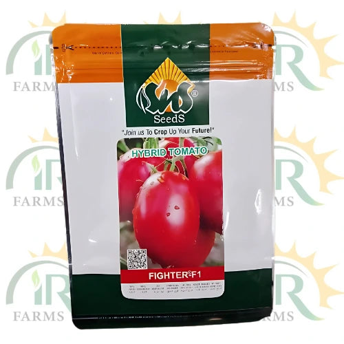 hybrid tomato seeds