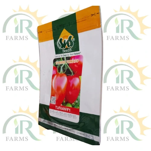 hybrid tomato seeds tufaan f1