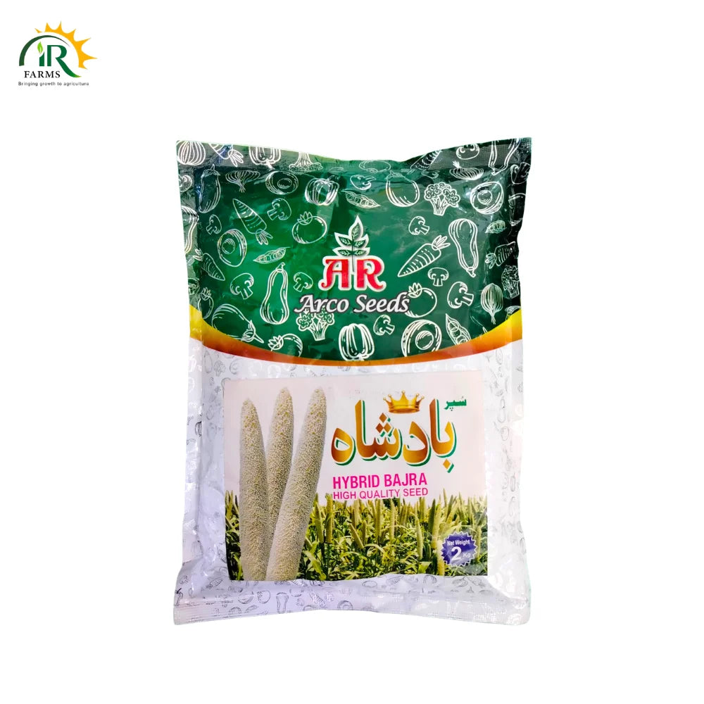 super Badsha Hybrid Bajra Seed&nbsp;