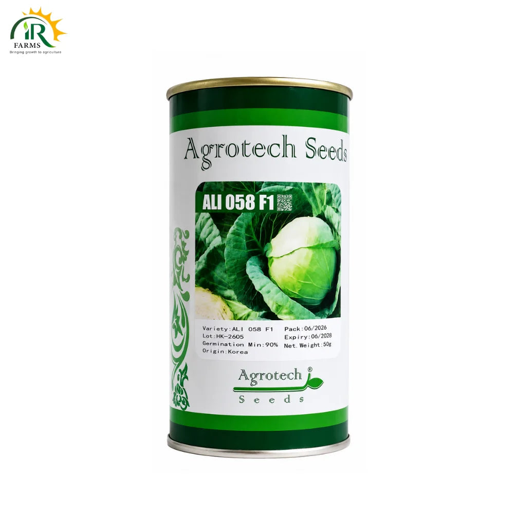 Hybrid Cabbage ALI 058 Seeds - High Yield & Early Variety