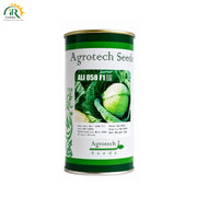Hybrid Cabbage ALI 058 Seeds - High Yield & Early Variety