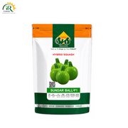 Hybrid Squash Sundar Ball F1 - High Yield & Disease Tolerant Variety