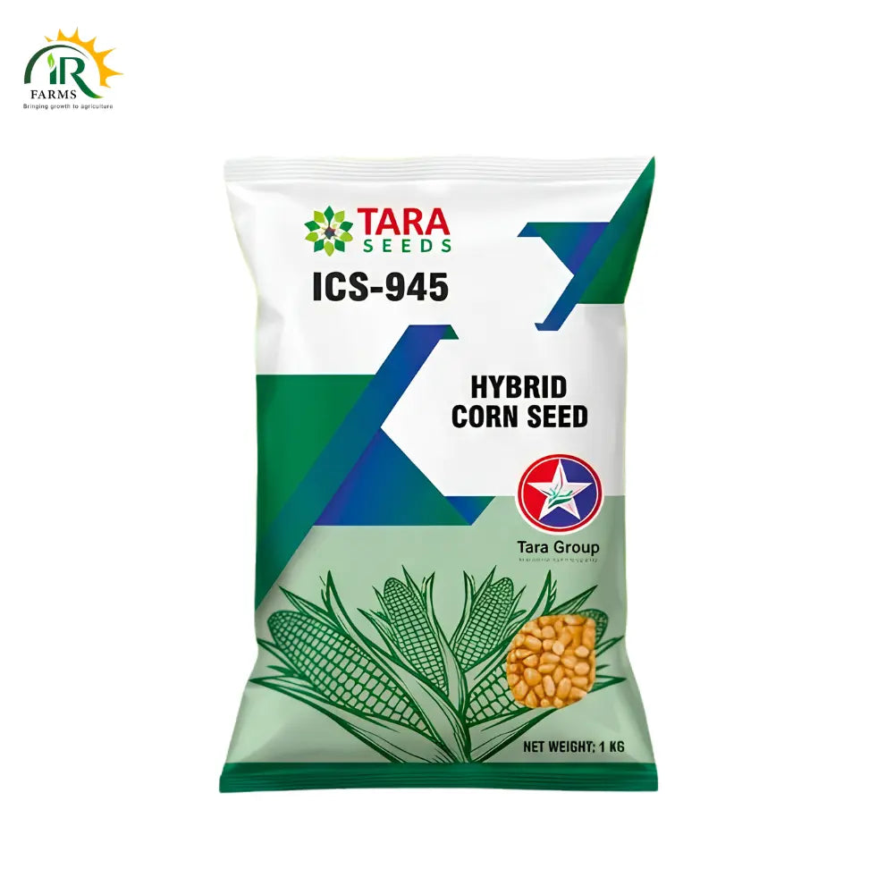 ICS-945 Hybrid Corn Seed