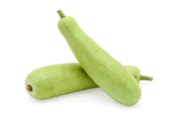 Loki (Bottle Gourd)