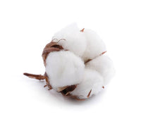 Cotton