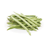 Lobia