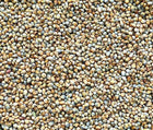 Bajra