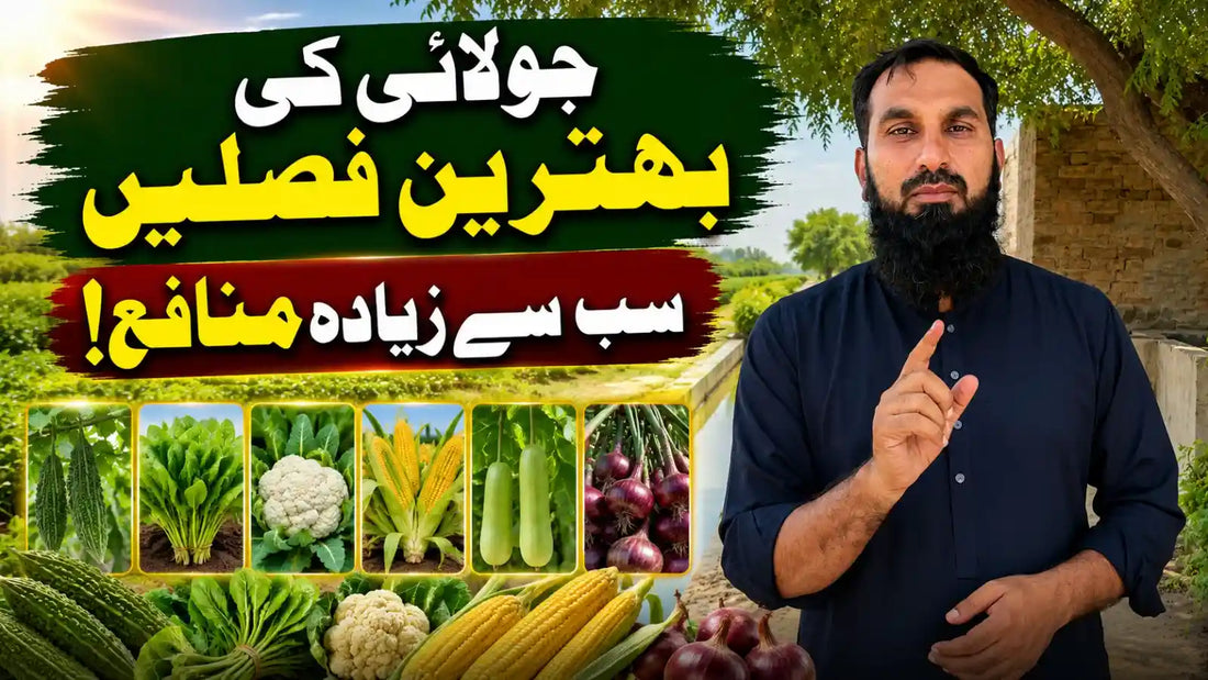 july ki behtreen fasal