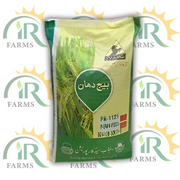 PK-1121 Kainat PS 2 Paddy Seed – 20KG | Basmati Aromatic Rice Seed by Punjab Seed