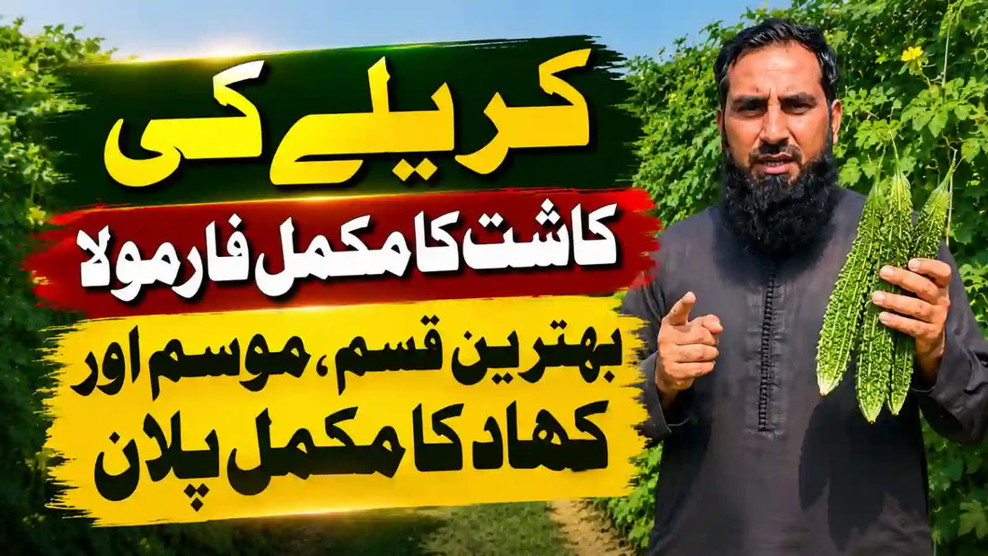 IR Farm | Best Online Agriculture Store In Pakistan