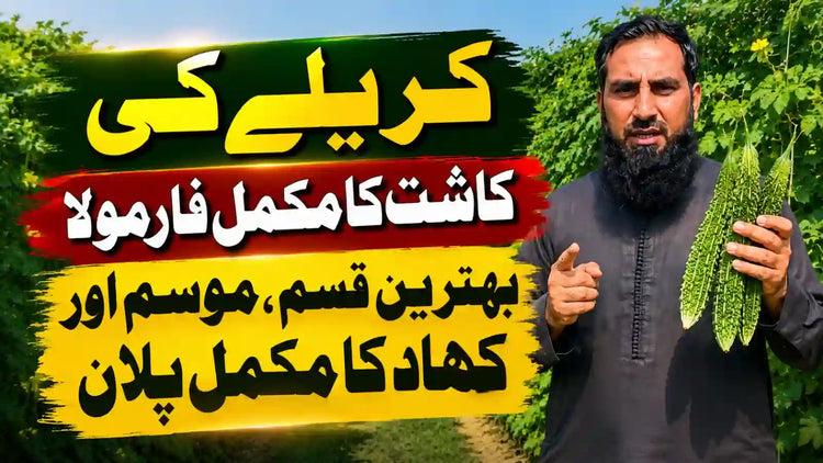IR Farm | Best Online Agriculture Store In Pakistan