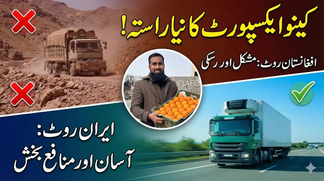 new way to export oranges