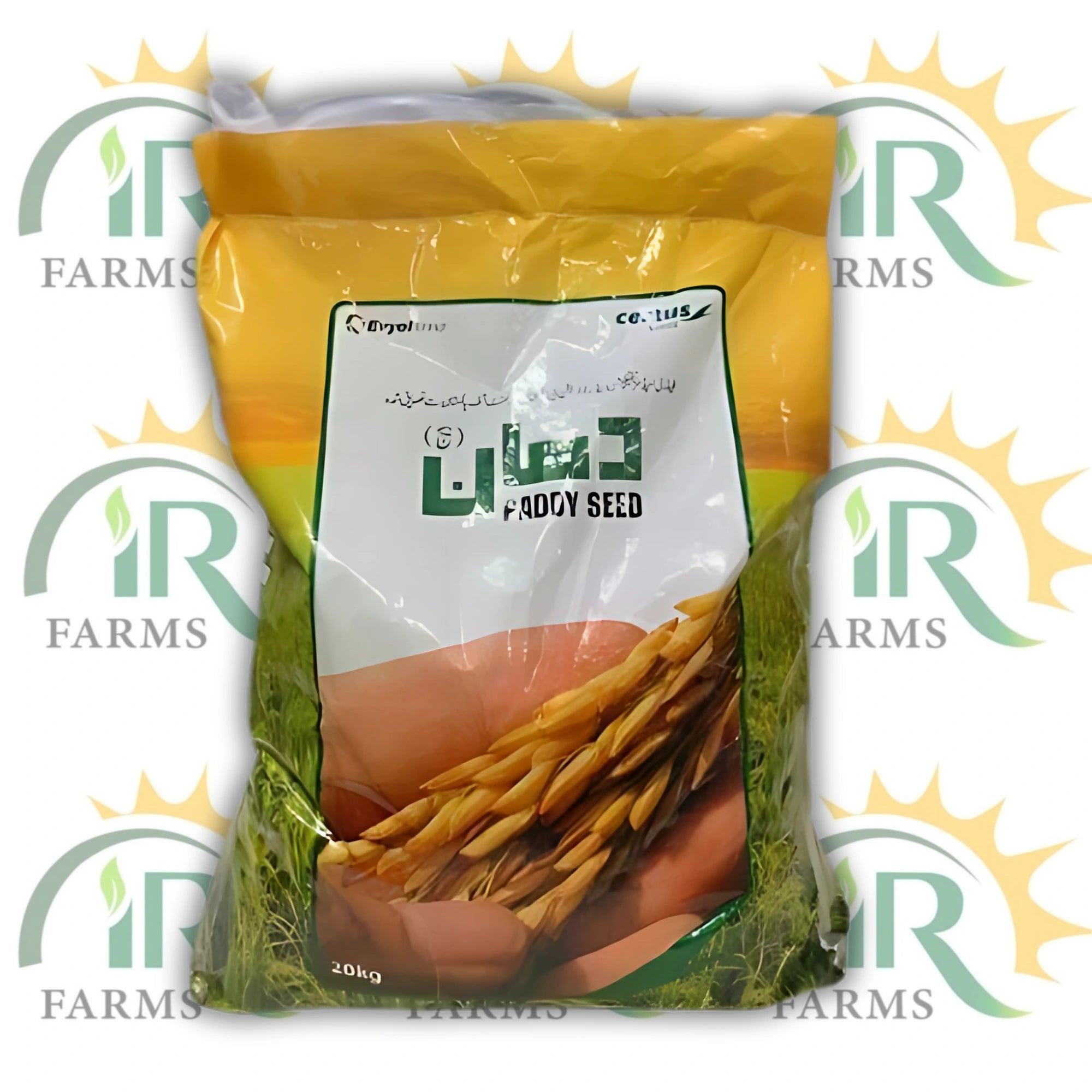 Kissan Basmati 1509 Paddy Seed – 20kg | High Yield Basmati Rice Seed | Evyol Group / Combagro / Certus | مونگی کا بیج