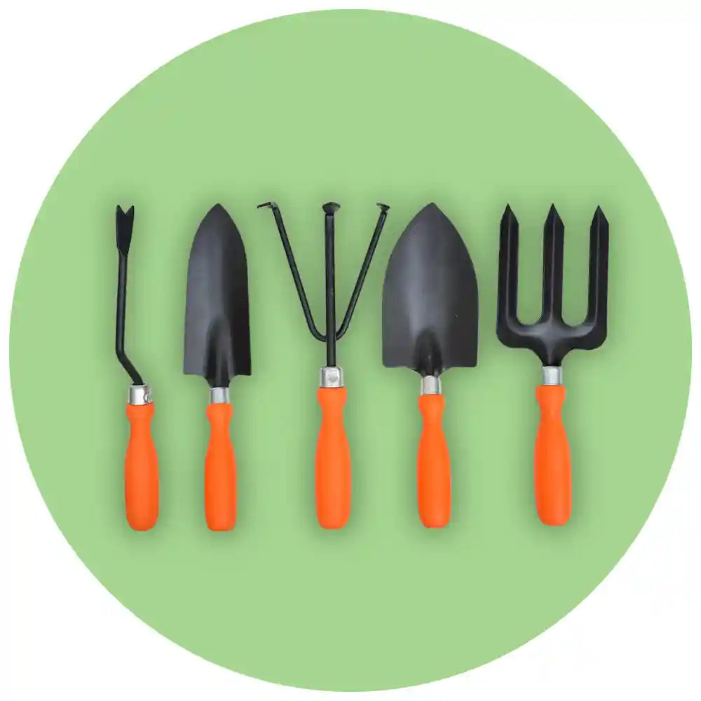 Kitchen gardening