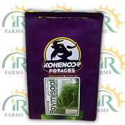 Kohenoor Alfalfa Lucerne Seeds 1kg Sada Bahar best fodder crop of Winter Multicut Fodder Turning Seed into Milk and gold Kohe e noor forages Dairy seeds Perenial Variety Safa Seeds alfa alfa