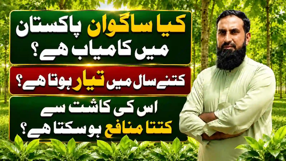 IR Farm | Best Online Agriculture Store In Pakistan