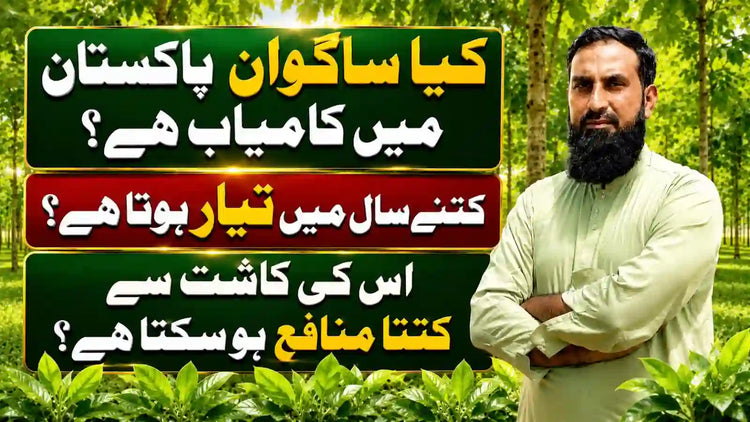 IR Farm | Best Online Agriculture Store In Pakistan