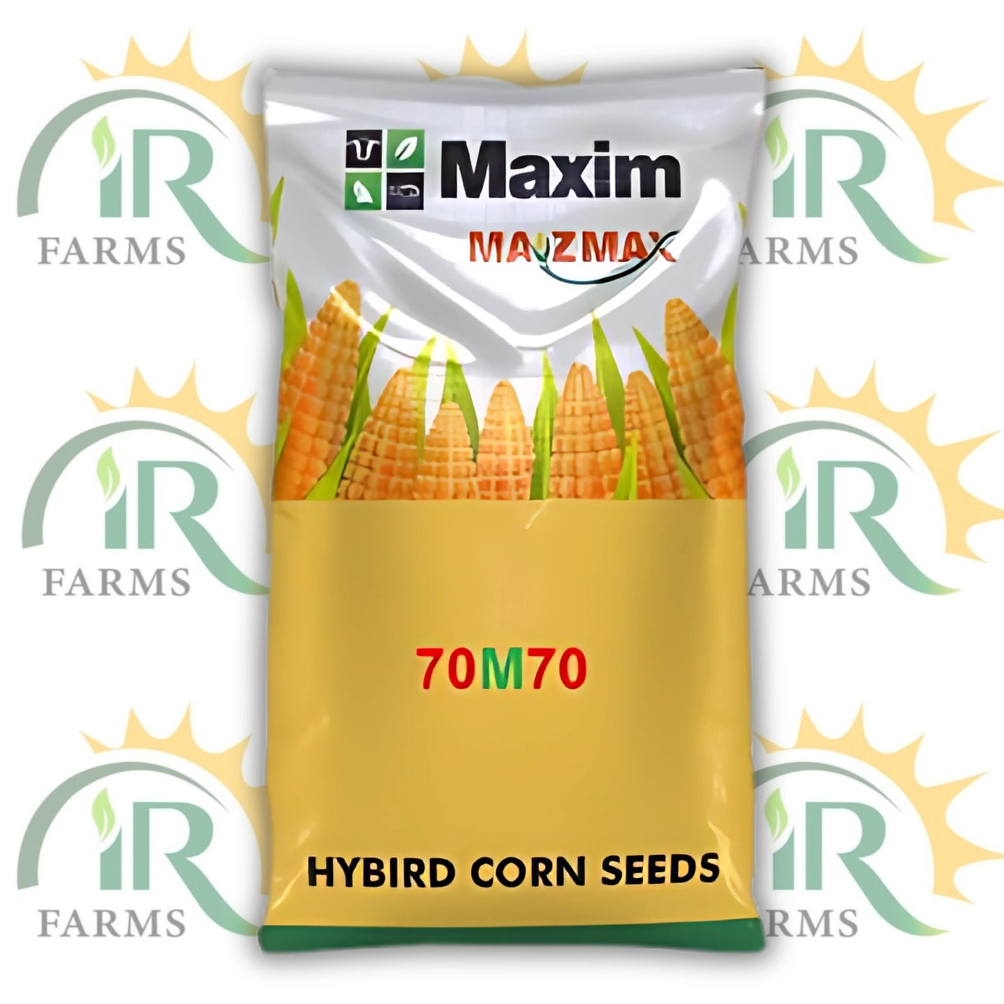 70M70 Maxim Double Cross Hybrid Silage Corn Seed | 35,000 Kernels for 1 Acre | High-Yield Silage Corn