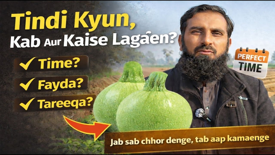 IR Farm | Best Online Agriculture Store In Pakistan