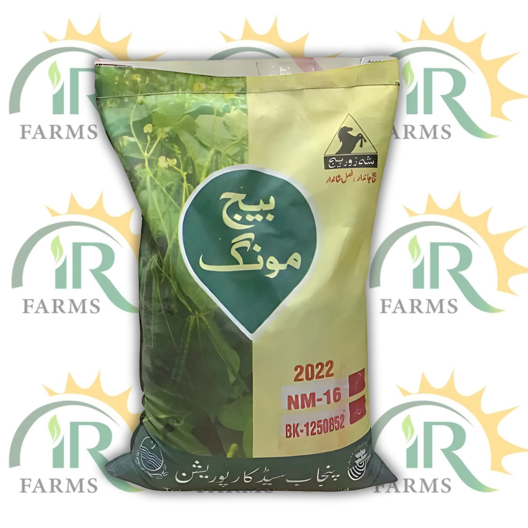 Moong Seed Azri 21 / Jumbo Mung Beans 10KG – 2024 Model | Punjab Seed Corporation | مونگی کا بیج