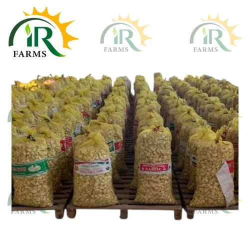 narc g1 garlic seed high quality 1kg garlic seed