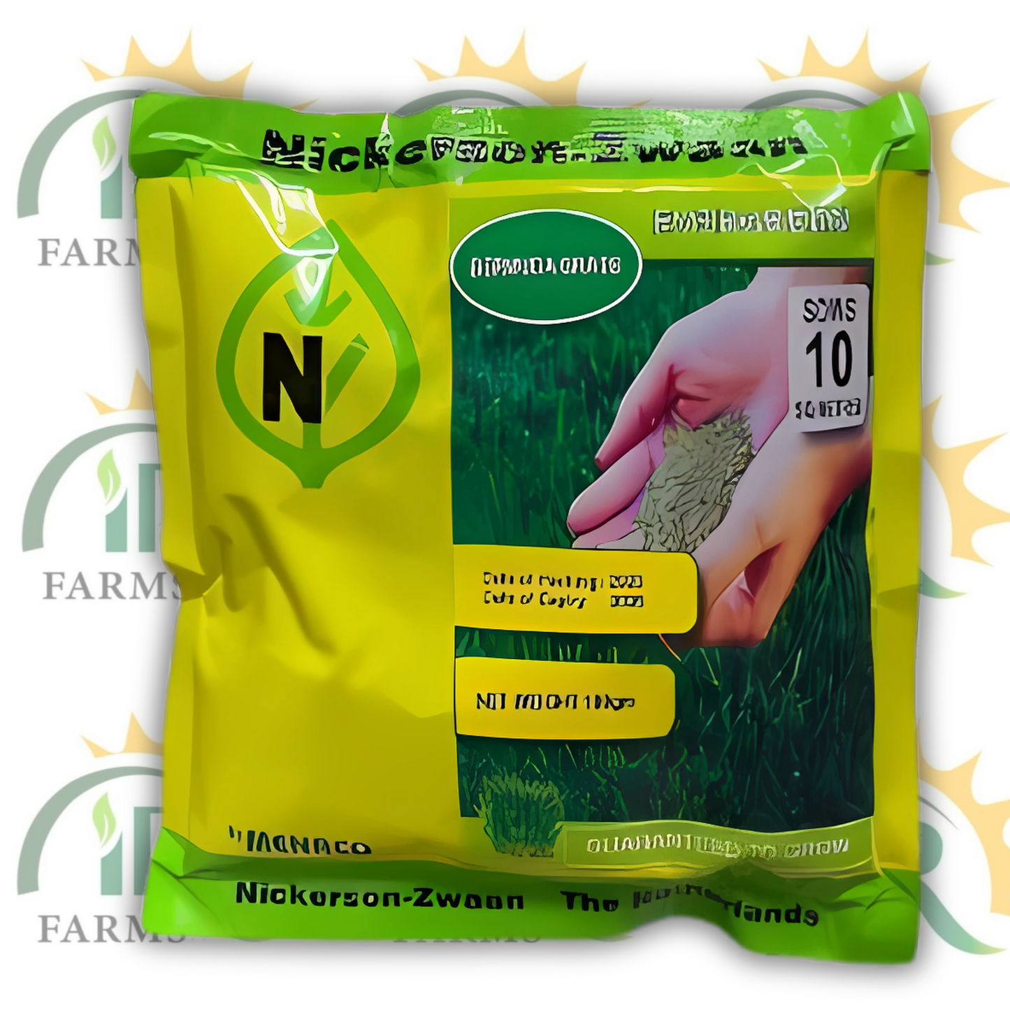 Bermuda Grass Seed 100GM – Evergreen Lawn Seed by Menaco | Covers 10 Sq Meters | Home Garden Turf Solution