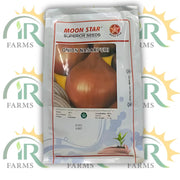 Onion Nasarpuri Seed 1kg – Original NP Variety | Moon Star Superior Seeds