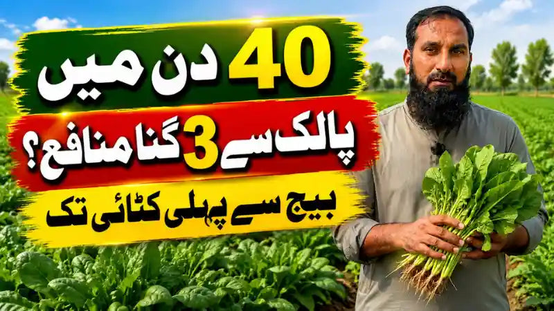 IR Farm | Best Online Agriculture Store In Pakistan