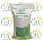Peas Classic Pak – 15kg | Pencil-Type Matar Beej (مٹر کے بیج) | High-Yield Pea Seeds by Soldier Seed Corporation