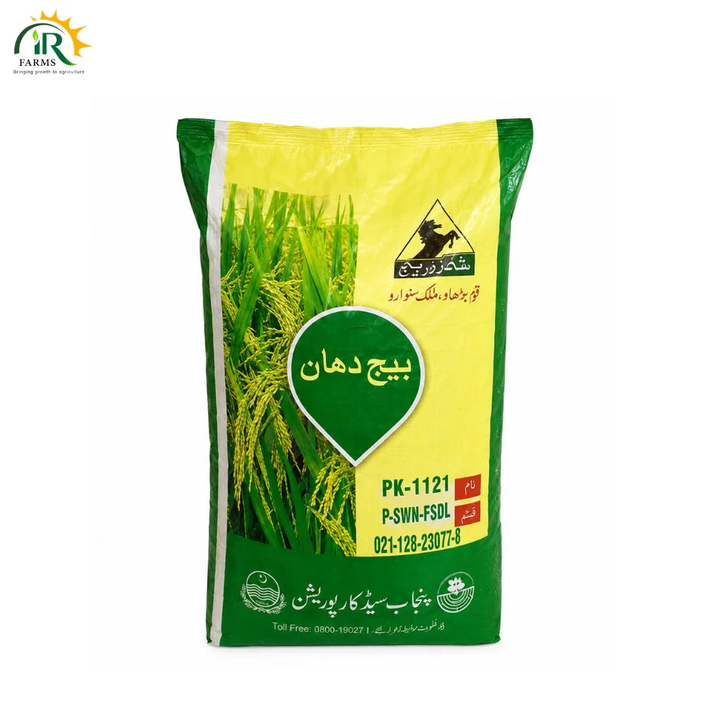 PK-1121 Kainat PS 2 Paddy Seed – 20KG