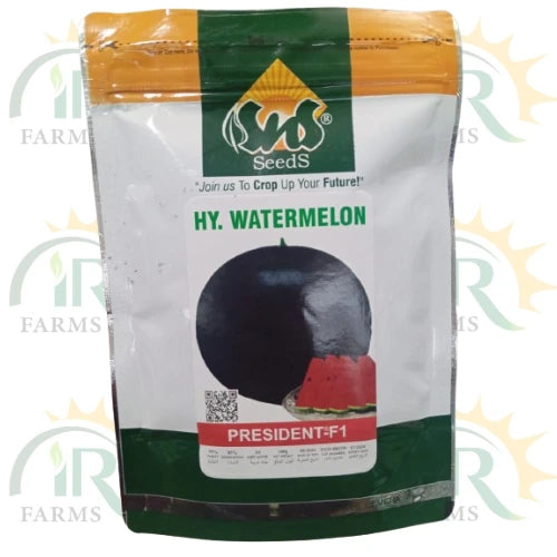 president f1 hy watermelon seeds