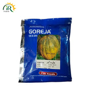 Pumpkin (Kaddu) Seed image