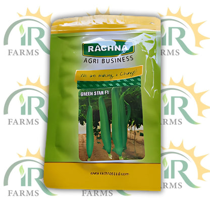 Green Star F1 Ridge Gourd Hybrid Seeds – 50gm | High-Yield, Fast-Growing | Rachna Agri Business