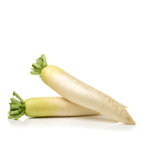 Radish
