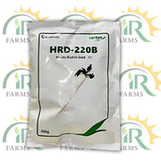 Hybrid Radish Seed F1 HRD-220B – 400gm | Combagro Certus by Evyol Group (Kanzo Mooli Beej)