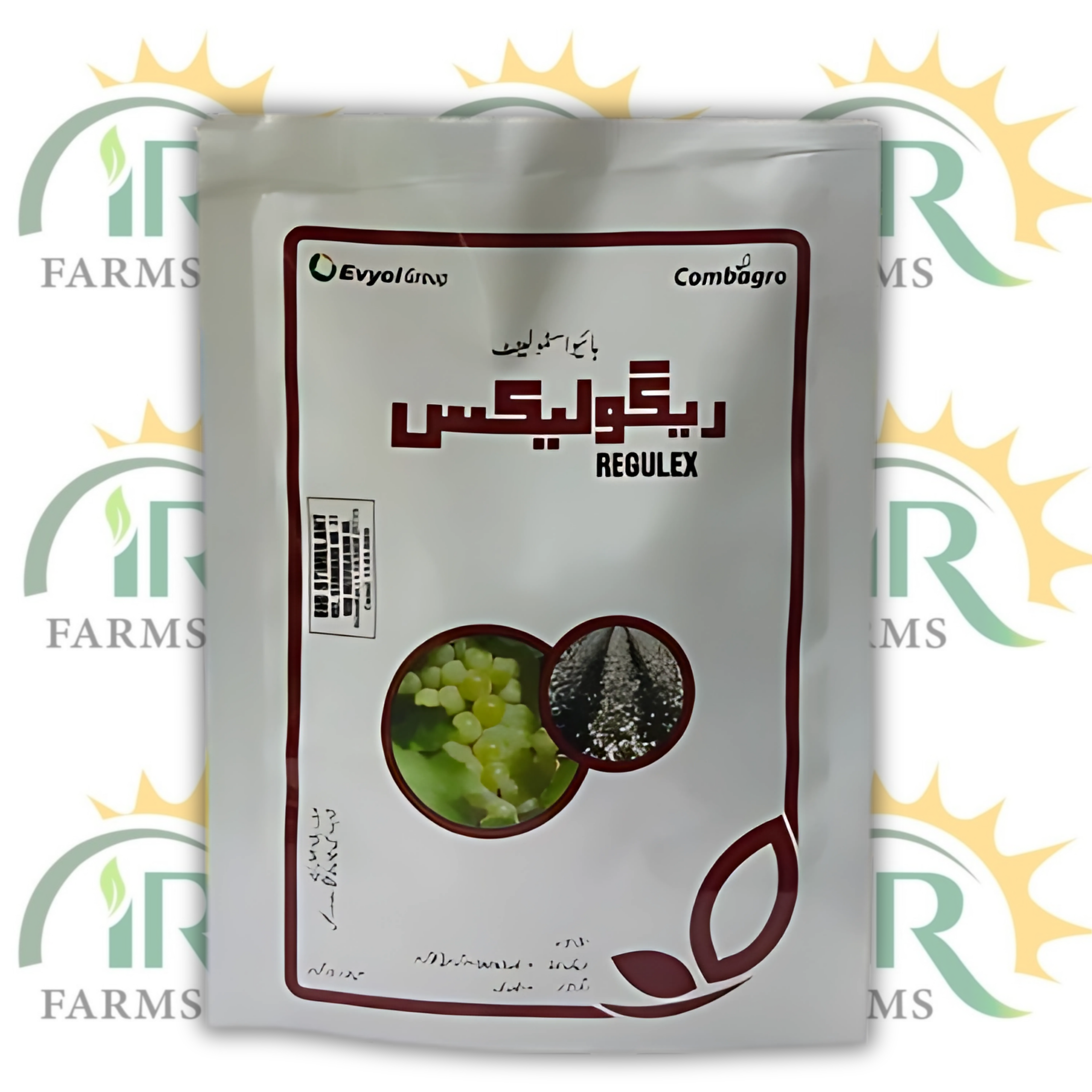 Regulex Gibberellic Acid 10% – 10g | Natural Plant Growth Hormone | Bio-Stimulant for Flowering & Fruit Development – Evyol Group