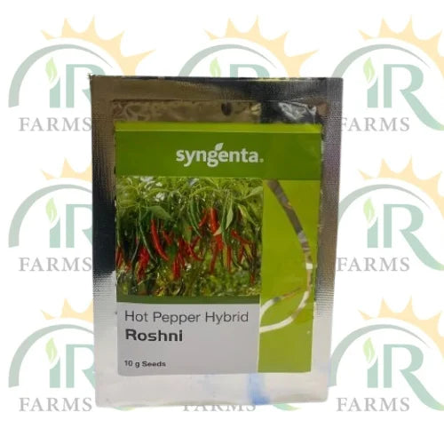 roshni hot pepper hybrid f1 seeds