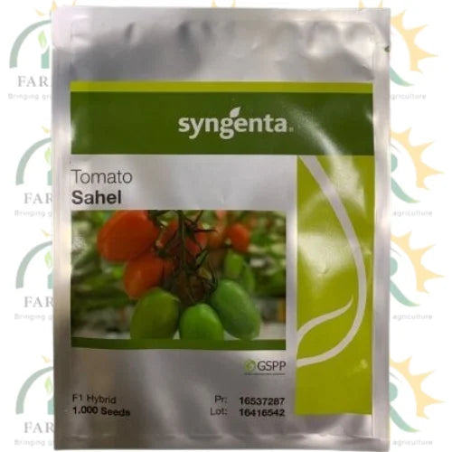 sahel tomato hybrid f1 seed syngenta