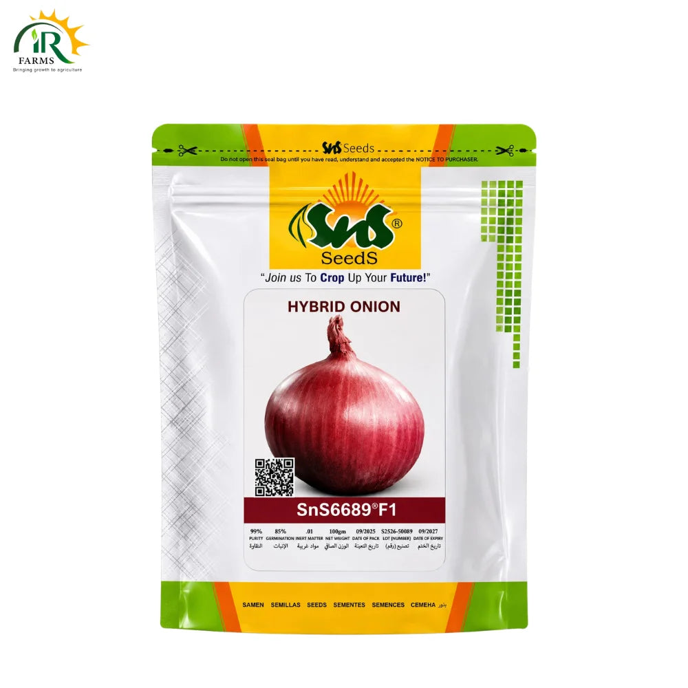 Hybrid Onion SnS6689 F1 Seed