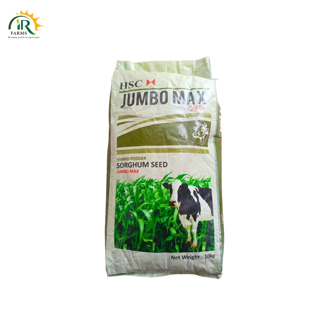 Jumbo Max Hybrid Fodder Sorghum Seed 
