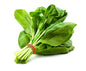 Palak (Spinach)