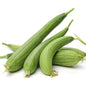 Tori (Sponge Gourd)