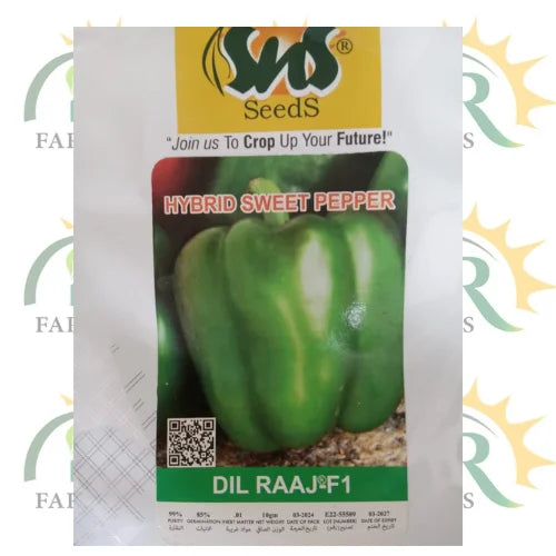 sweet pepper hybrid capcicum seed 