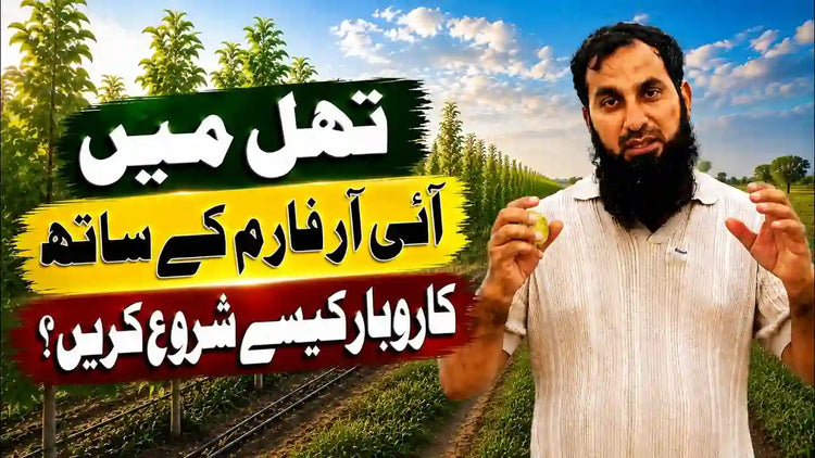 thakl ma kharobar complete guide