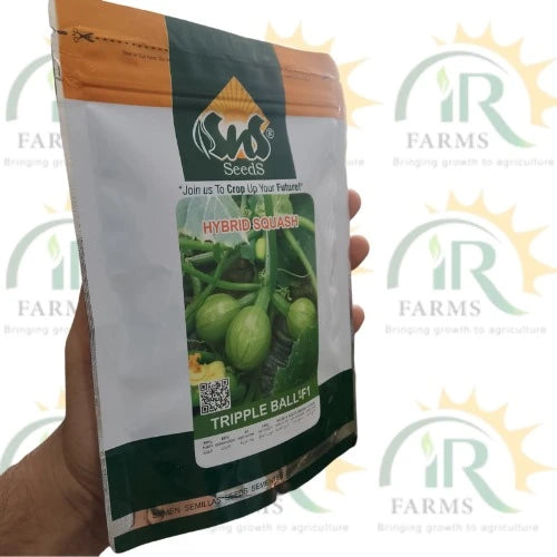 triple ball f1 seeds hybrid squash 