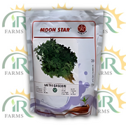 Methi Seed 1kg – Kasuri Methi (Fenugreek) | Moon Star Superior Seeds | Qasuri Methi Beej