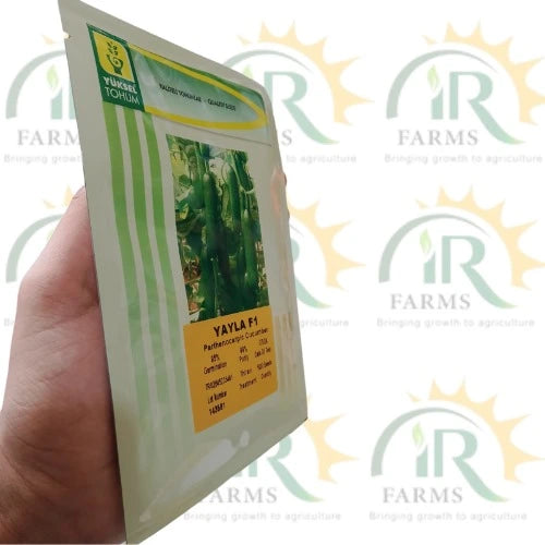 yayla f1 cucumber seeds